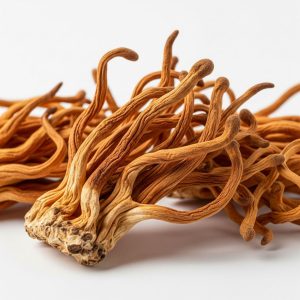 قارچ کوردیسپس 10گرم